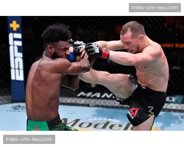 深度复盘:斯特林在UFC 300中战术的得与失 深度复盘:斯特林在UFC 300中战术的得与失