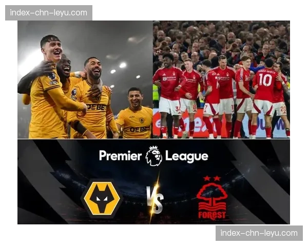 狼队确认降级，成为2025-26赛季英超首支降级球队